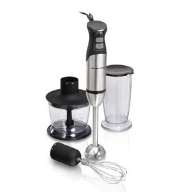 Stainless Steel Hand Blender with Variable Speed